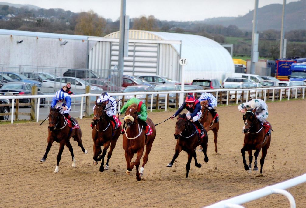 MASUCCI wins over 7f at Dundalk, 6th April 2018.jpg